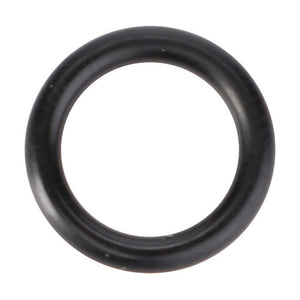 The Fendt - O-Ring, Ø 11.3 x 2.4 mm (X548830066000) by AGCO, designed to meet high-performance demands, is shown against a white background.