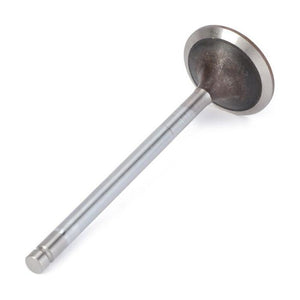 A single AGCO Massey Ferguson Intake Valve (V836646356) with a slender stem and a wide, flat head is shown against a white background, reminiscent of the precision parts used in 4WD Massey Ferguson models.